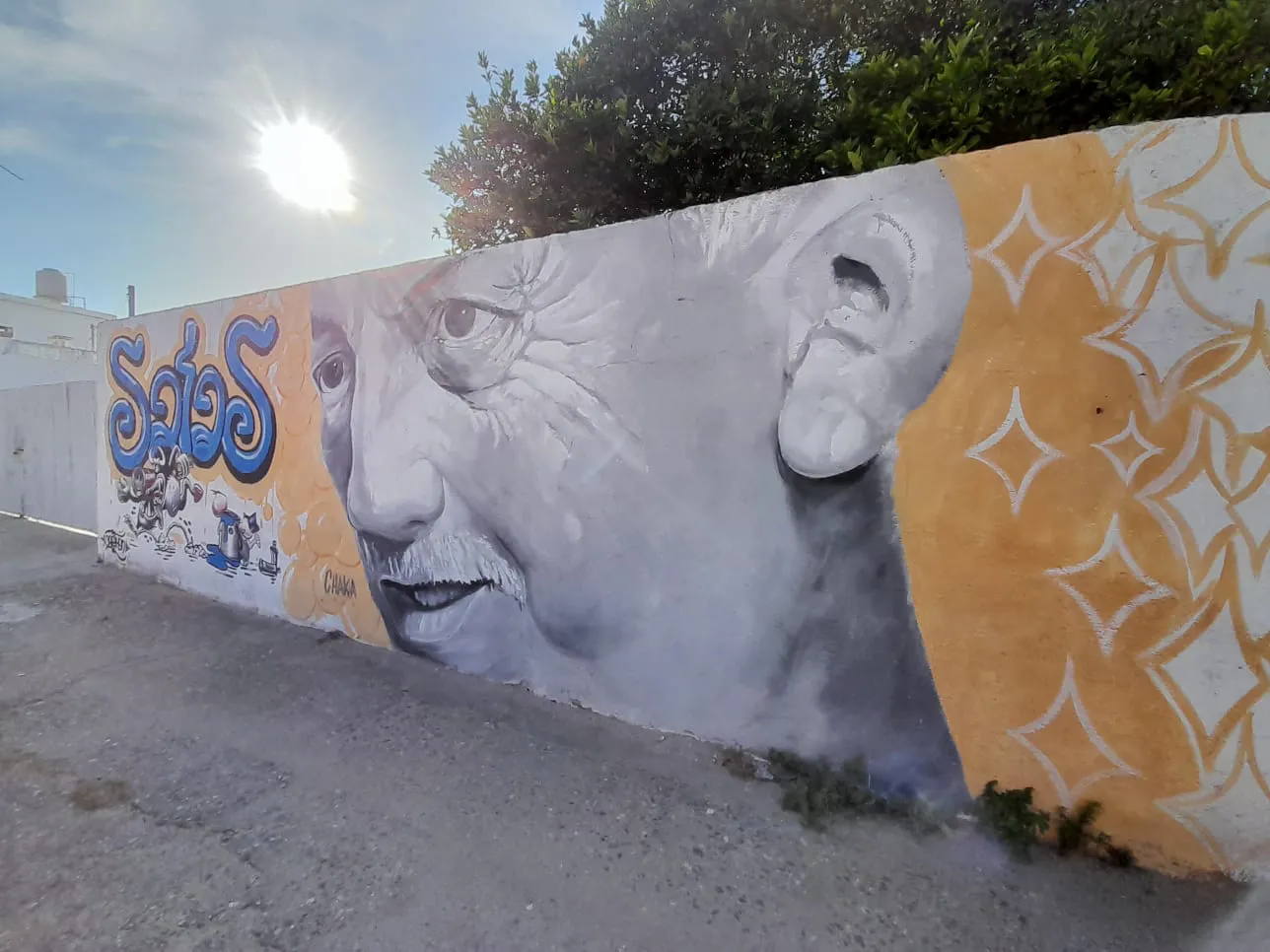 murales  6 murales  6 Homenaje a Oscar Salas