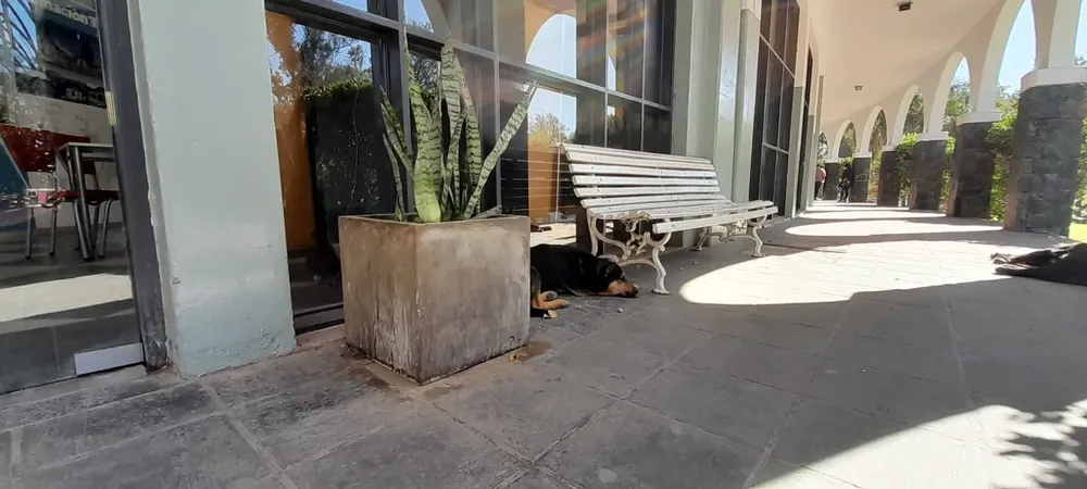 terminal de colectivos 7