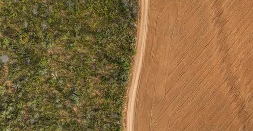 soja desforestación