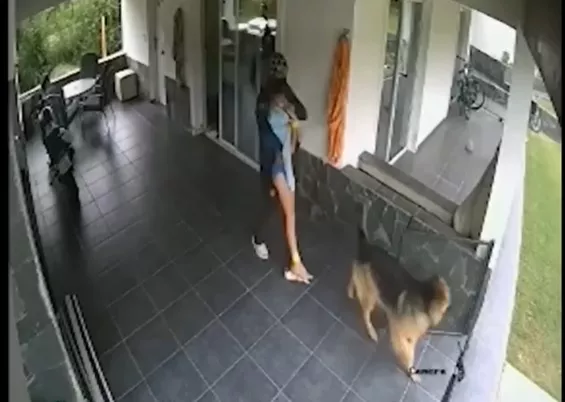 robo violento va gral belgrano