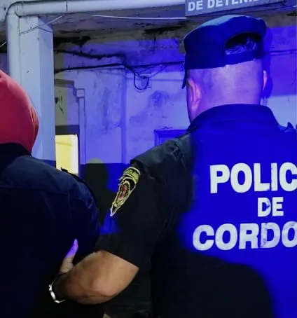 POLICIALES