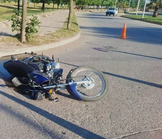 WhatsApp Image 2026-01-26 at 8.49.07 AM