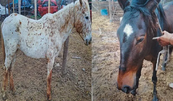 WhatsApp Image 2025-11-11 at 11.49.12 AM