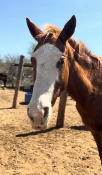 WhatsApp Image 2024-09-30 at 08.55.42