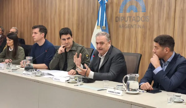 20240823_AGdiputados