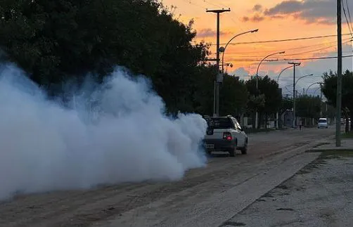 fumigación dengue