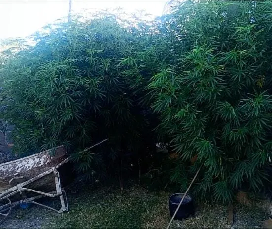 WhatsApp Image 2026-01-22 at 10.45.19 AM