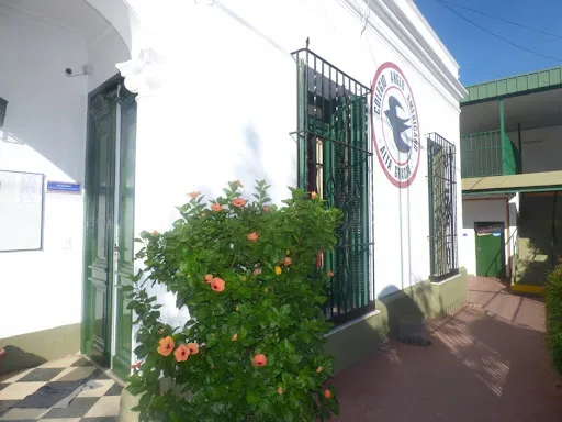 Anglo Americano