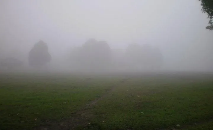 Humedad