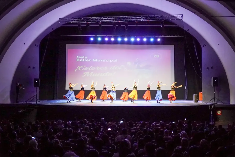 WhatsApp Image 2024-11-19 at 11.48.51