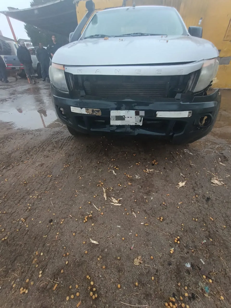 WhatsApp Image 2024-07-19 at 5.53.51 PM