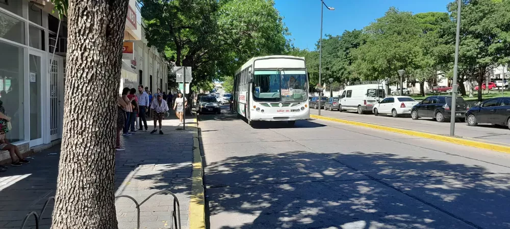 colectivo transporte