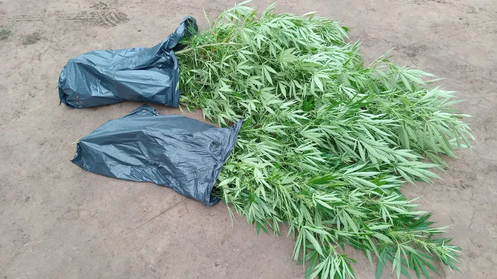 Allanamientos Córdoba (3)