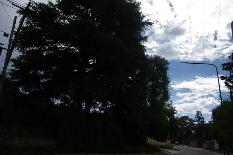 Clima 2025 PARCIALMENTE Nublado (11)