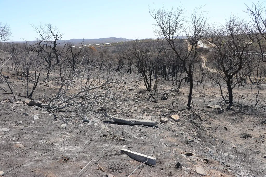 desastre agropecuario