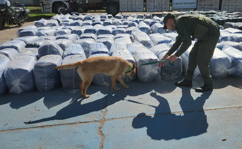 20250503 Córdoba secuestro de más de 6 toneladas de hojas de coca (22