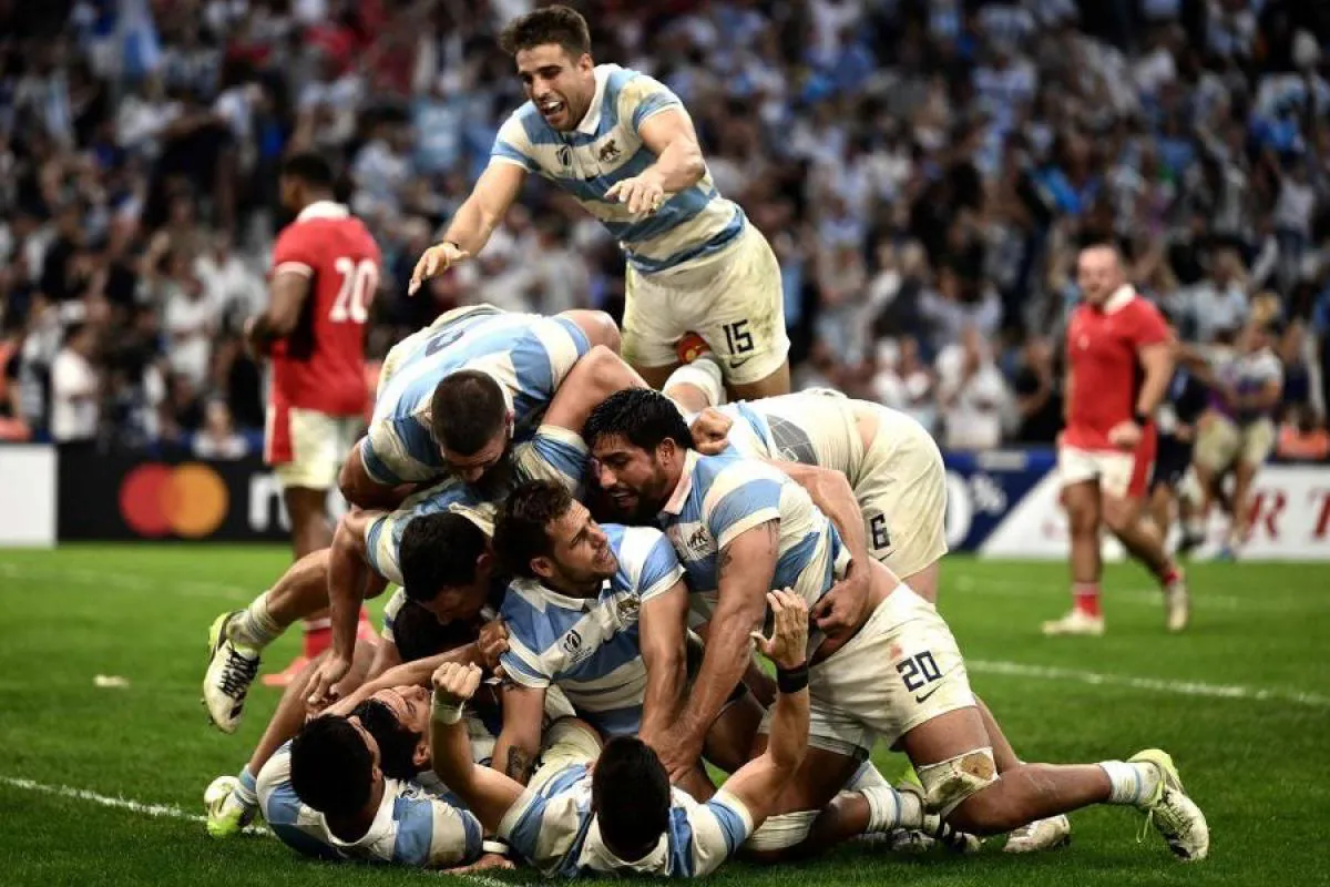 pumas