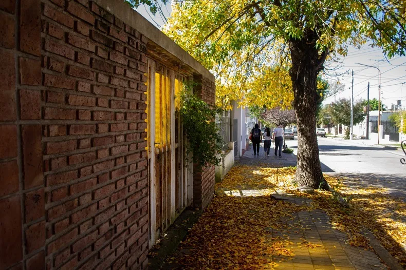 Clima 2025 Otoño (2)