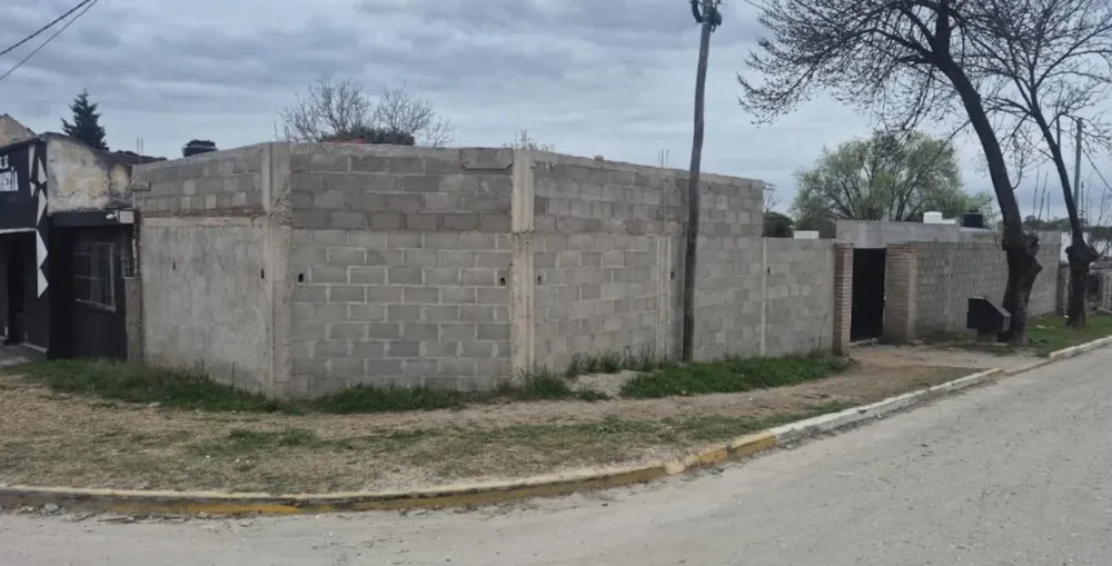 Villa Oviedo- imputaron por homicidio culposo al dueño del perro que mató al niño