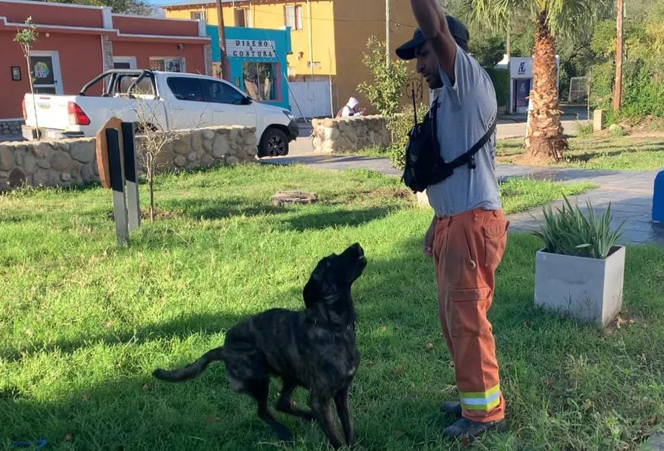 WhatsApp-Image-2024-06-18-at-19.27.07