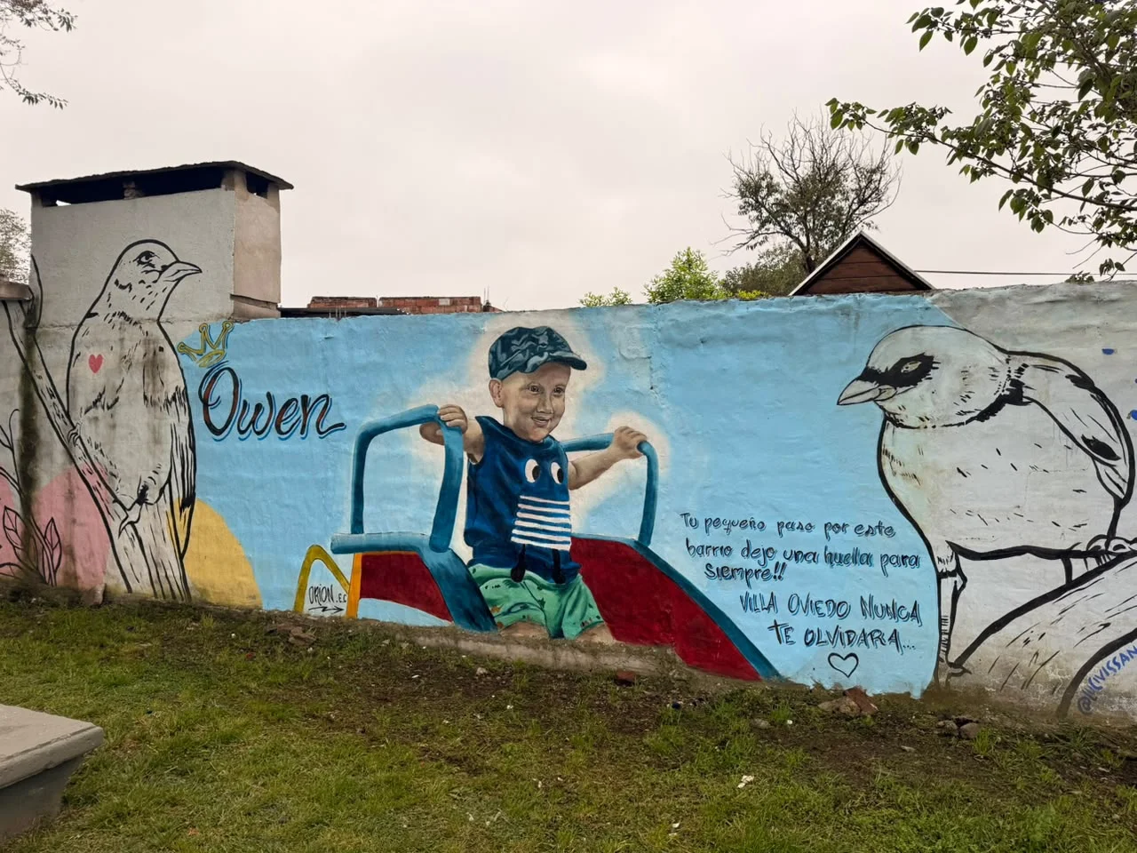 Mural Owen