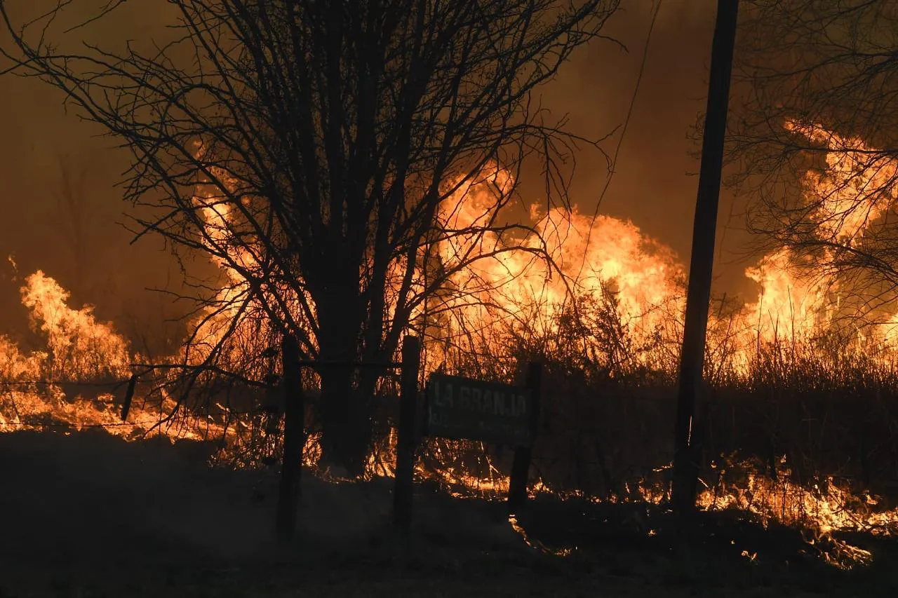 INCENDIOS (1)