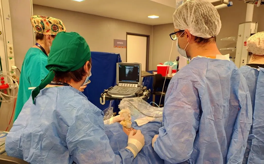 Cirugía Htal San Roque