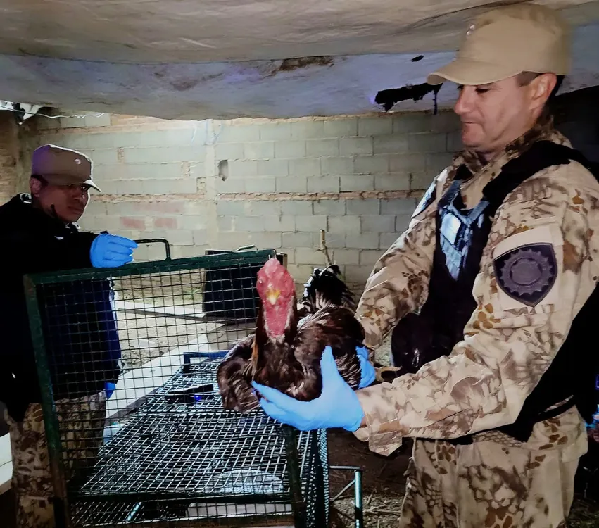 WhatsApp Image 2025-09-13 at 7.39.57 AM