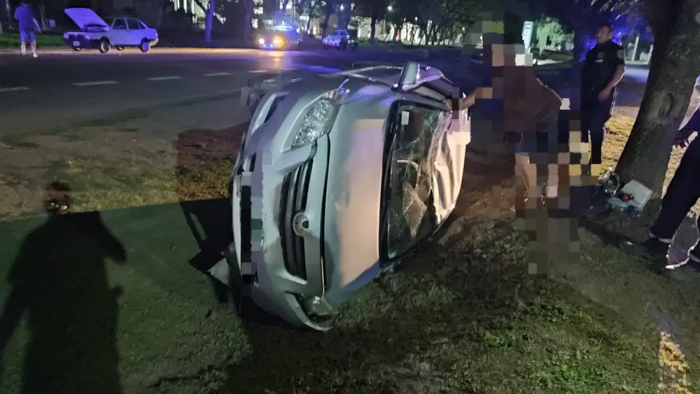 WhatsApp Image 2024-11-07 at 08.42.44