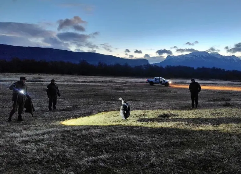 Cóndor rescatado 20250513