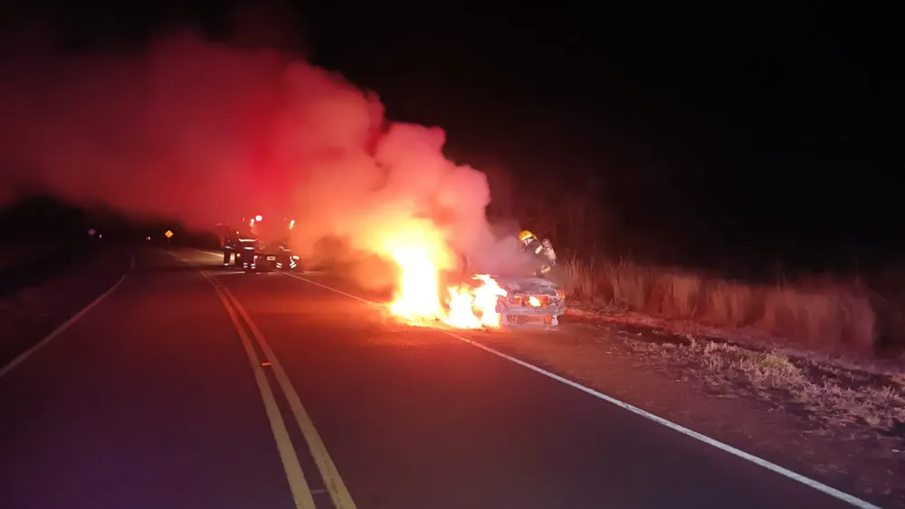 WhatsApp Image 2024-08-28 at 09.57.38