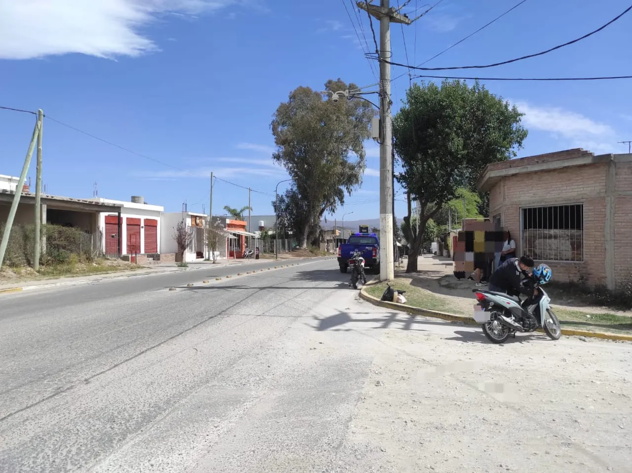 policiales