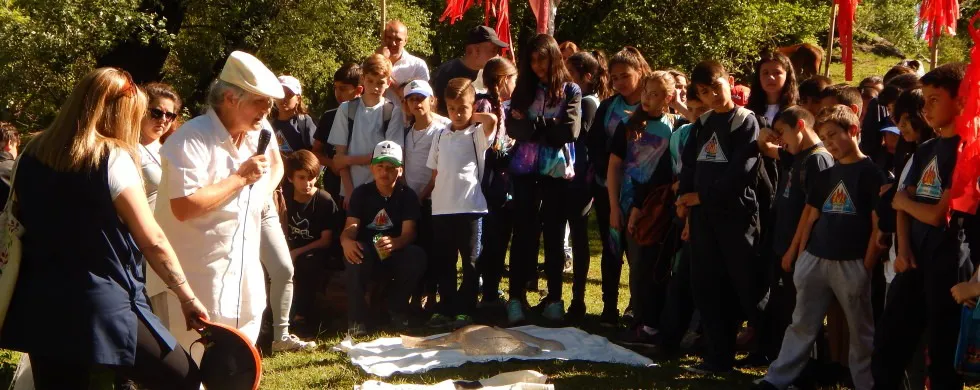 WhatsApp-Image-2024-11-04-at-12.07.58-1 (1)