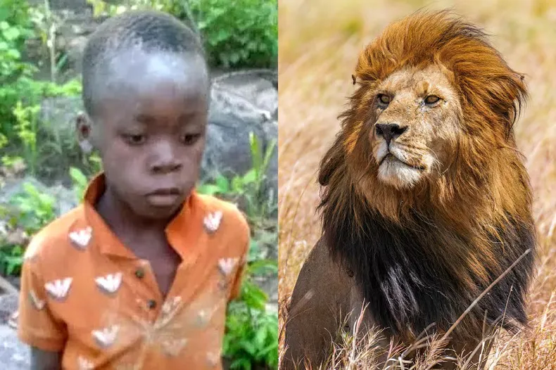 Niño Leones Zimbabue 20250103