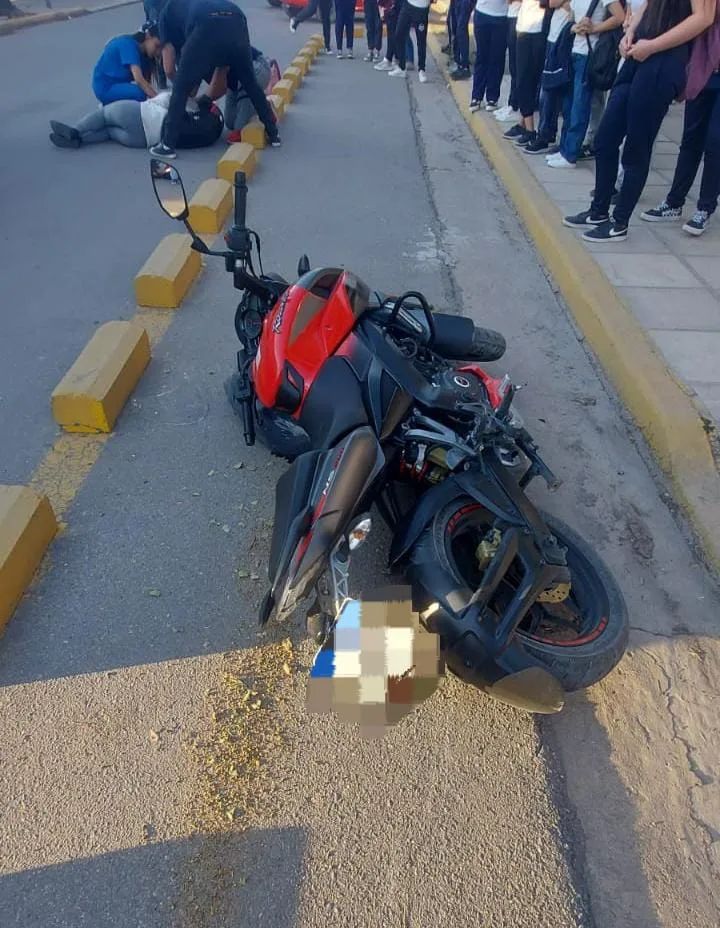 WhatsApp Image 2024-09-24 at 08.30.51