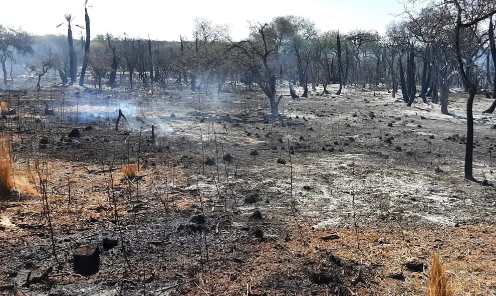 incendio en guasapampa