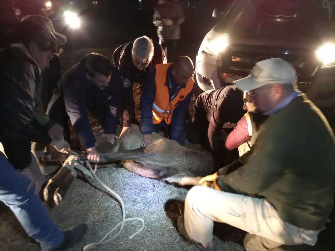 WhatsApp-Image-2023-07-20-at-08.34.58