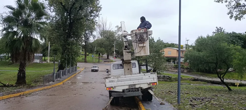 Temporal Alta Gracia Poda