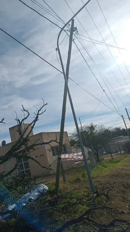 Defensa Civil - caida de arboles (4)