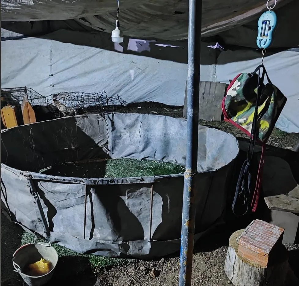 WhatsApp Image 2025-09-13 at 7.39.57 AM (1)