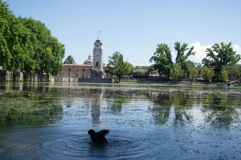 Clima 2025 CALOR (4P)