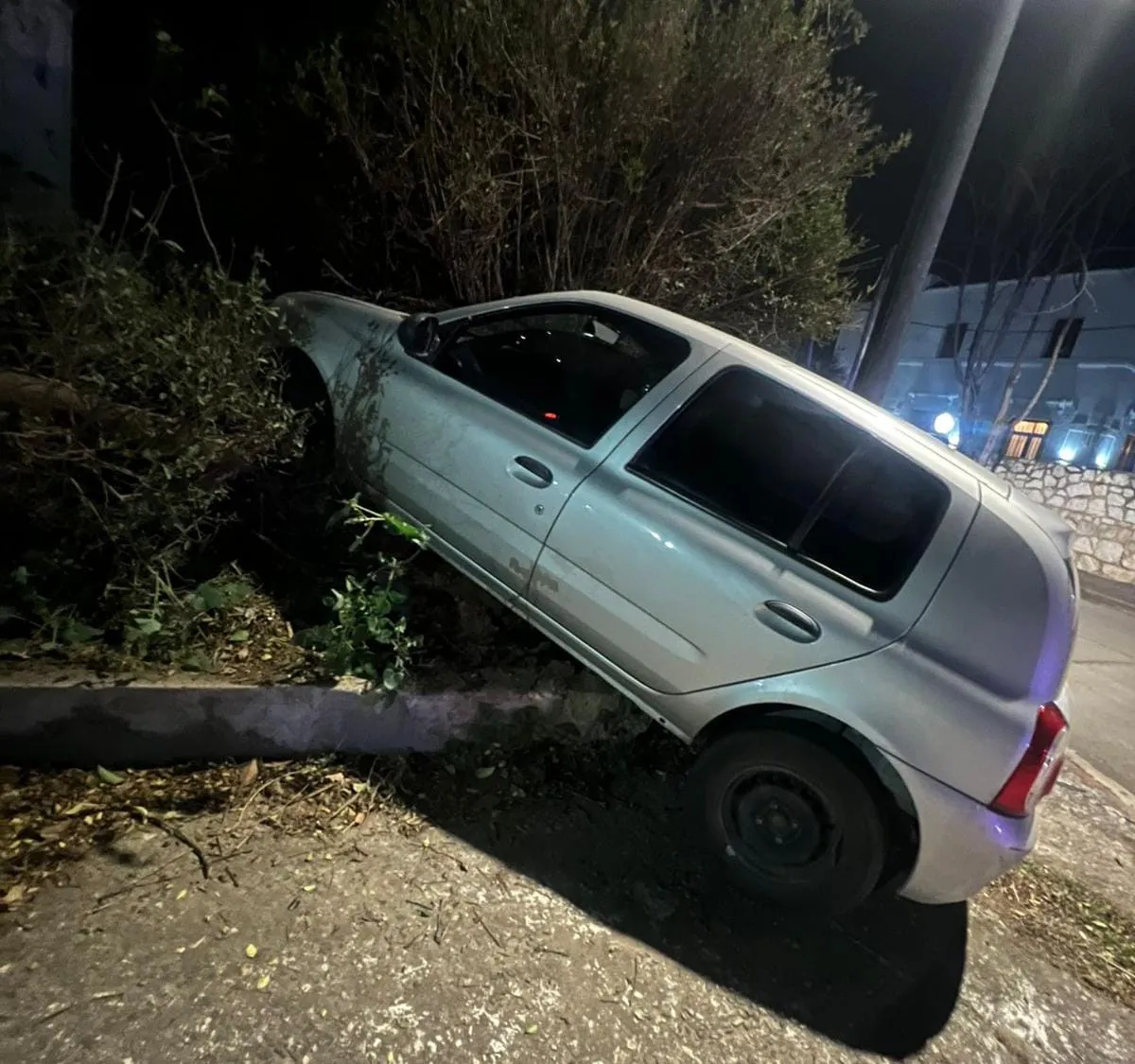 Policiales Clio Pellegrini