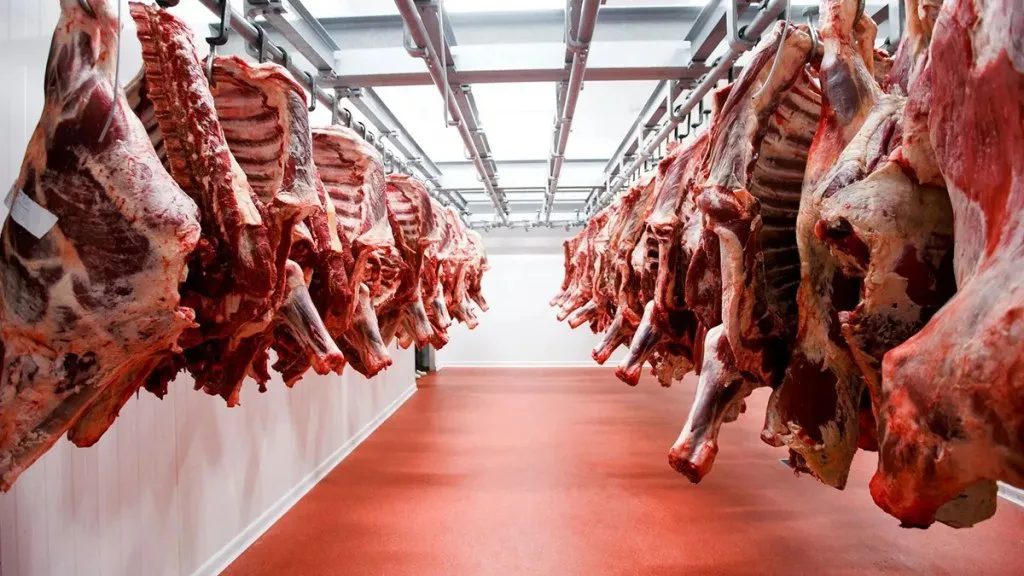 Carne importacion