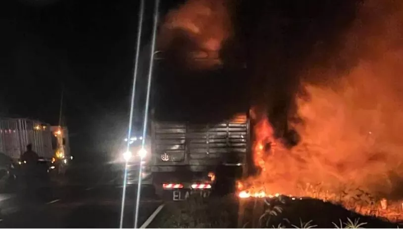 camion jaula incendiada