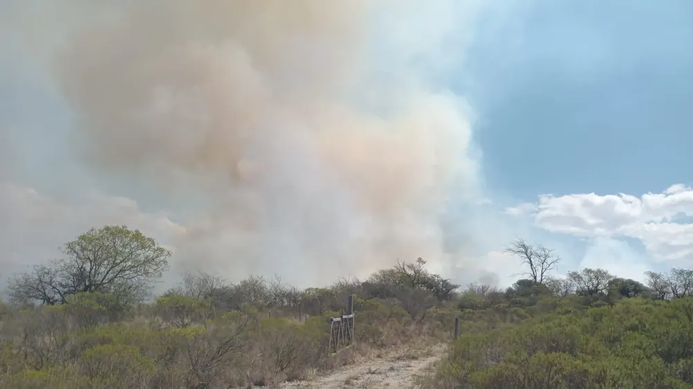 incendio (2)