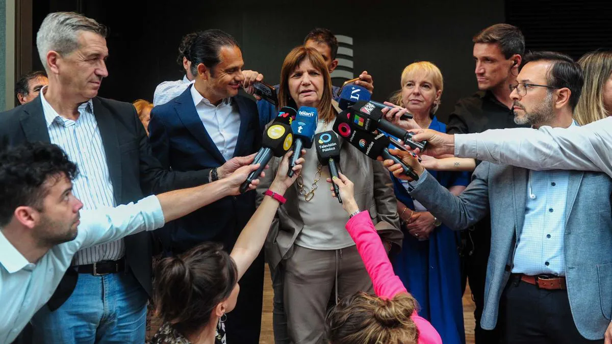 bulrich seguridad telam