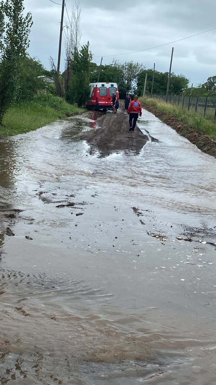 WhatsApp Image 2024-02-23 at 10.38.30