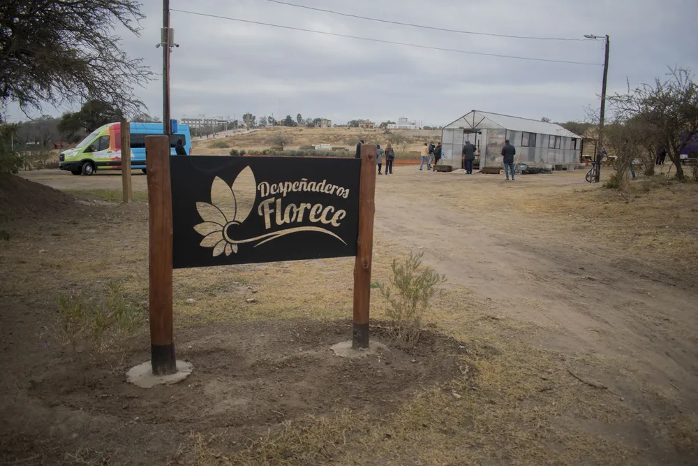 Despeñaderos florece