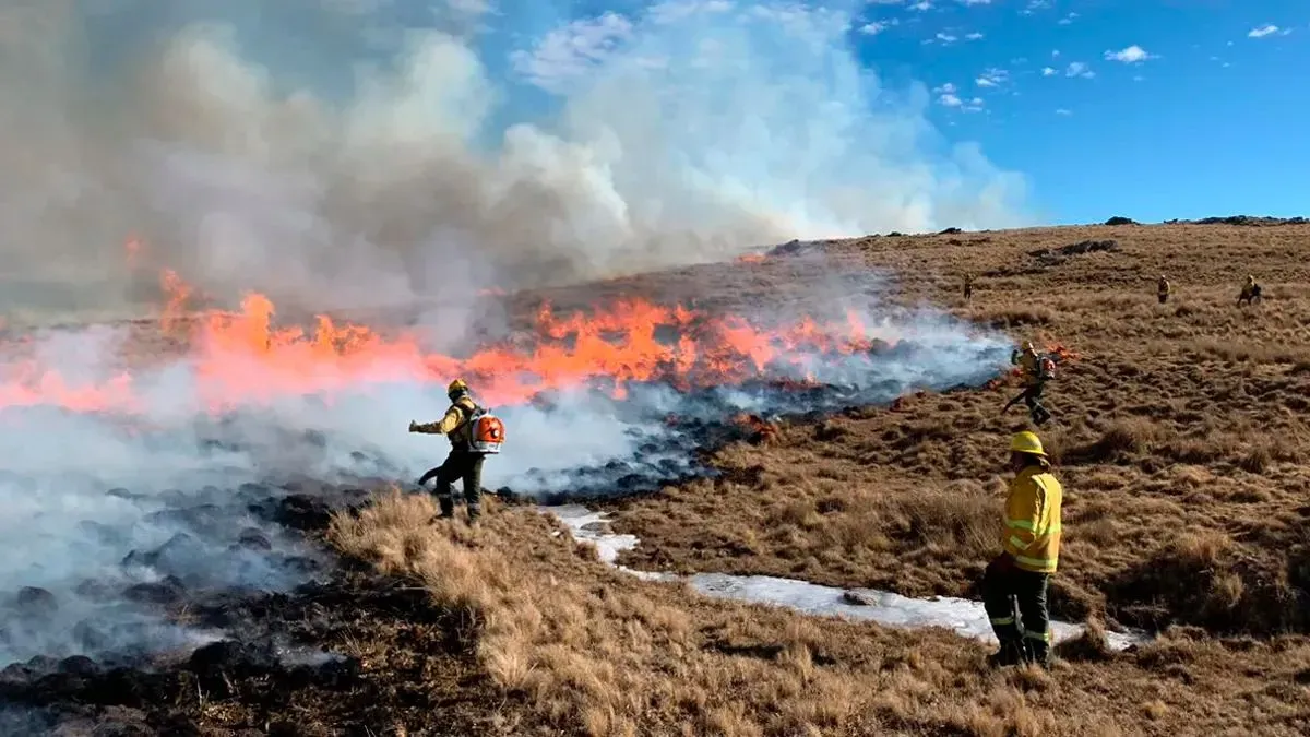 multimedia.normal.987c4b8b7ea5ef0e.SW5jZW5kaW9zIGZvcmVzdGFsZXMgKGdlbnRpbGV6YSlfbm9ybWFsLndlYnA=