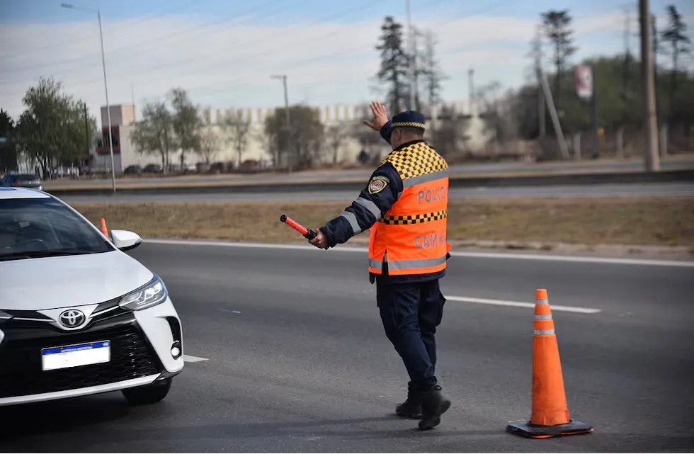 licencias de conducir